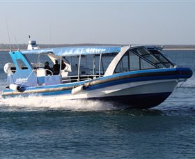 Phillip Island Nature Parks - Attractions 2