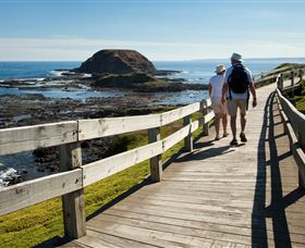Phillip Island Nature Parks - Attractions 3