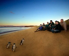 Phillip Island Nature Parks - Attractions 7