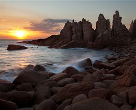 Phillip Island Nature Parks - Attractions 6