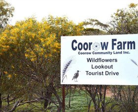Coorow Farm Wildflower Trail - Attractions 0
