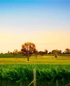 Canberra District Wineries - Attractions 0