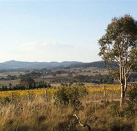 Yarrh Wines - Attractions