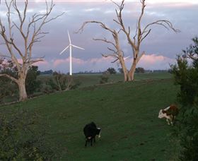 Crookwell Wind Farm - Attractions Las Vegas 1