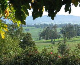 Brandy Creek Wines & View Cafe - Attractions 5