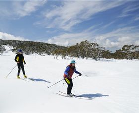 Mt Baw Baw Alpine Resort - Attractions 2