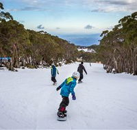 Mt Baw Baw Alpine Resort - Attractions