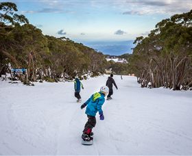 Mt Baw Baw Alpine Resort - Attractions 0