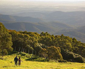 Mt Baw Baw Alpine Resort - Attractions 6