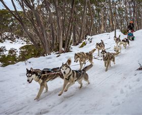 Mt Baw Baw Alpine Resort - Attractions 5