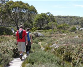Mt Baw Baw Alpine Resort - Attractions 7