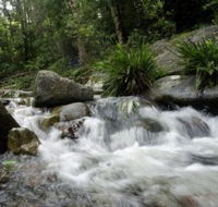 Washpool National Park - Attractions