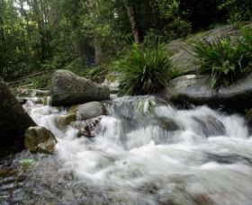 Washpool National Park - Attractions 0