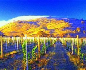 Surveyors Hill Winery - Attractions 0