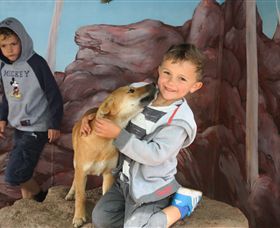 Maru Koala And Animal Park - Attractions Las Vegas 3