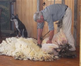 Maru Koala And Animal Park - Attractions Las Vegas 8