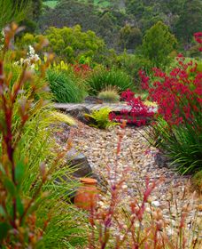 Ungulla Country Garden - Attractions 1