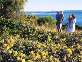 Seventeen Seventy QLD Attractions