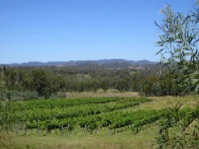 Pyramids Road Wines - Attractions 3