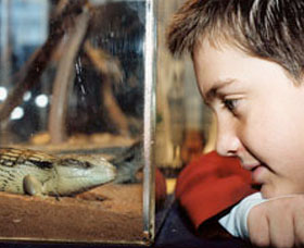 Canberra Reptile Zoo - Attractions 0