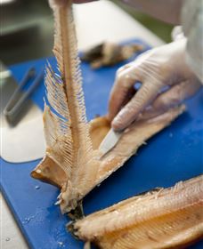 Arc-en-Ciel Trout Farm - Attractions 2