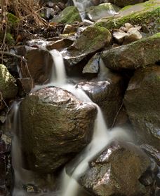 Arc-en-Ciel Trout Farm - Attractions 1