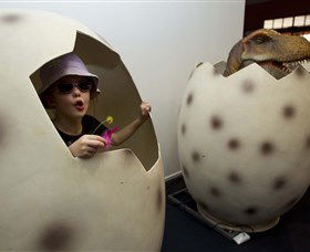 National Dinosaur Museum - See Attractions 2