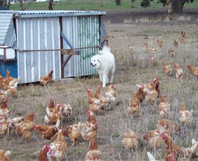 Northside Farmers Market - Attractions 1