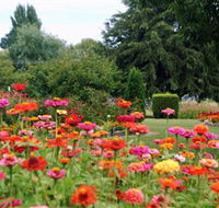Alma Park - Attractions