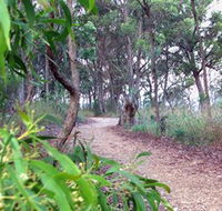 Mount Mutton Walking Trail - Attractions