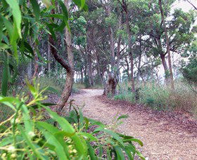 Mount Mutton Walking Trail - Attractions 0