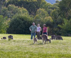 Tidbinbilla - Attractions 1