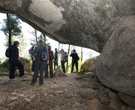 Tidbinbilla - Attractions 4