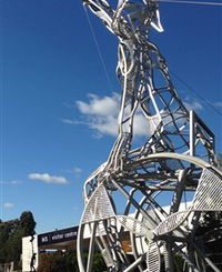 Australian Institute of Sport AIS