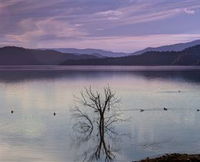 Book Scone Accommodation Vacations Attractions Attractions