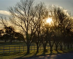 Inland Waters Holiday Parks Lake Glenbawn - Attractions 4
