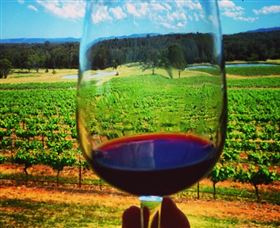 One Day Hunter Valley Day Tours And East Coast Adventures - Zepher Tours - Attractions 4