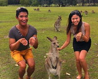 Runaway Tours
