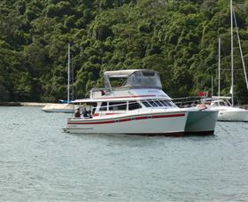 Waratah Adventure Tours - Attractions 1