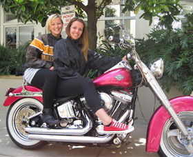 Wild Ride Harley And Motorcycle Tours - Attractions 0