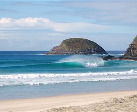 Surfaris Surf Camp - Attractions 4