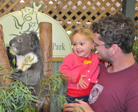 Blue Diamond Tours - Attractions 0
