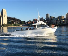 Deep Sea Fishing Charter - Attractions 4