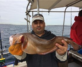 Deep Sea Fishing Charter - Attractions 5