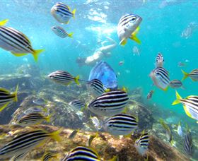 EcoTreasures - Attractions 0