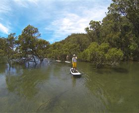 EcoTreasures - Attractions 1