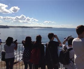 EcoTreasures - Attractions 3