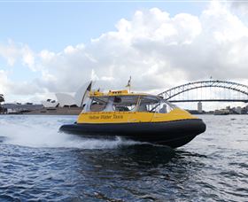 Yellow Water Taxis - Attractions 0