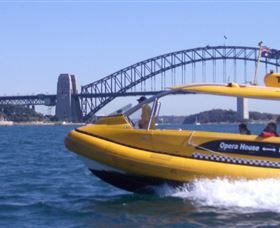 Yellow Water Taxis - Attractions 1