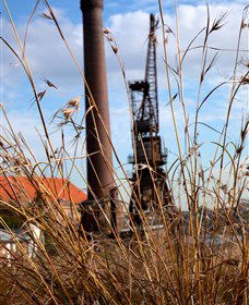 Click Walk Learn Photography Tours - Attractions 2